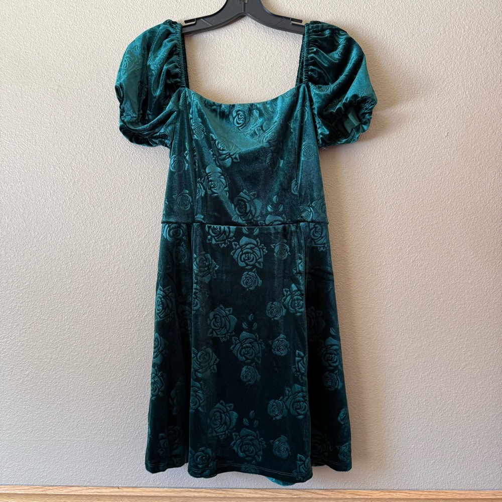 Francesca’s Tina velvet floral mini dress